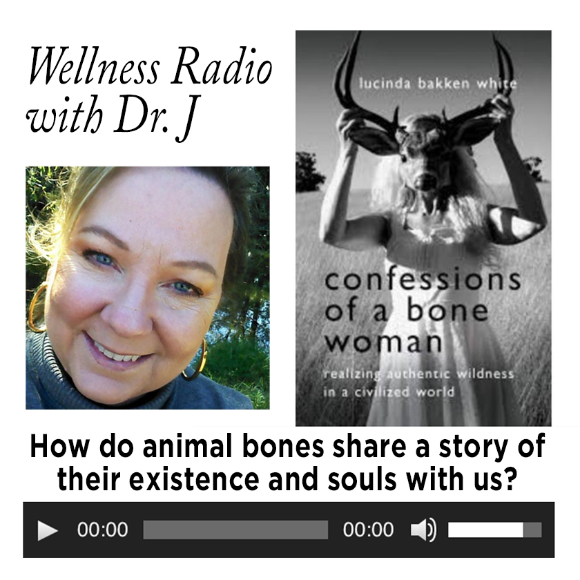 Dr Jeanette Gallagher